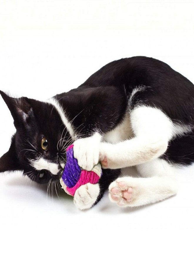 KittuPet مجموعة ألعاب القطط KittuPet المكونة من 3 قطع: كرة من السيزال، كرة تفاعلية للقطط، كرة متدحرجة للقطط، لعبة خدش للقطط (لون عشوائي) - Image 2